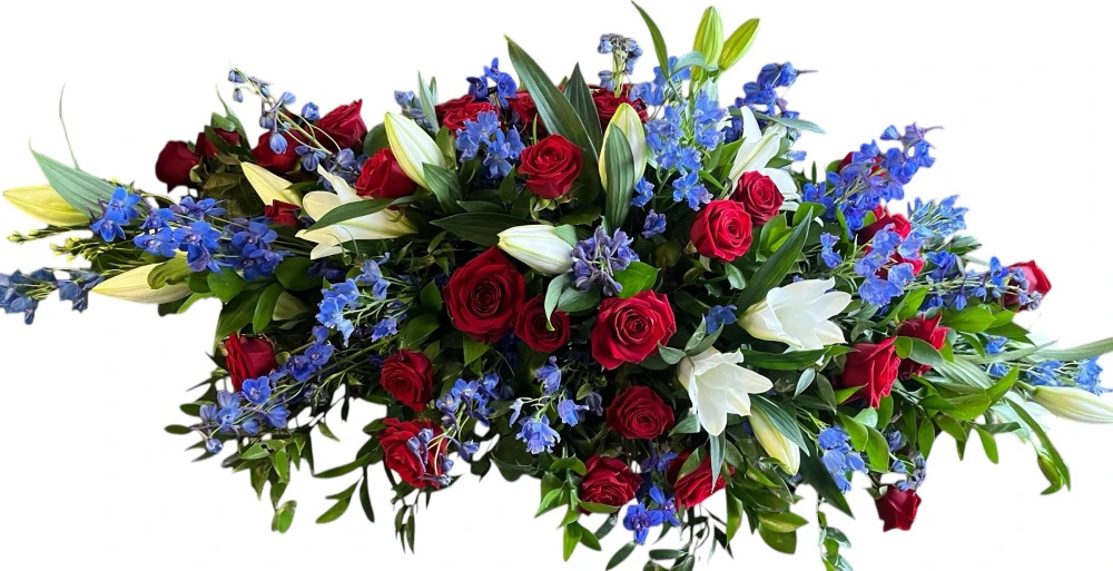 Red and Blue Coffin Spray Product Image